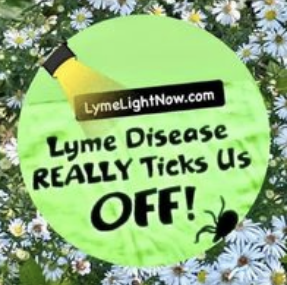 From Wheelchair to Advocacy Leader: How One Woman's Battle With Lyme Disease Sparked a Growing Nonprofit Movement