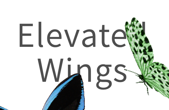 Small-Town Arizona Entrepreneur Proves E-Commerce Success Is Possible for Anyone With Elevated Wings Handmade Products Business